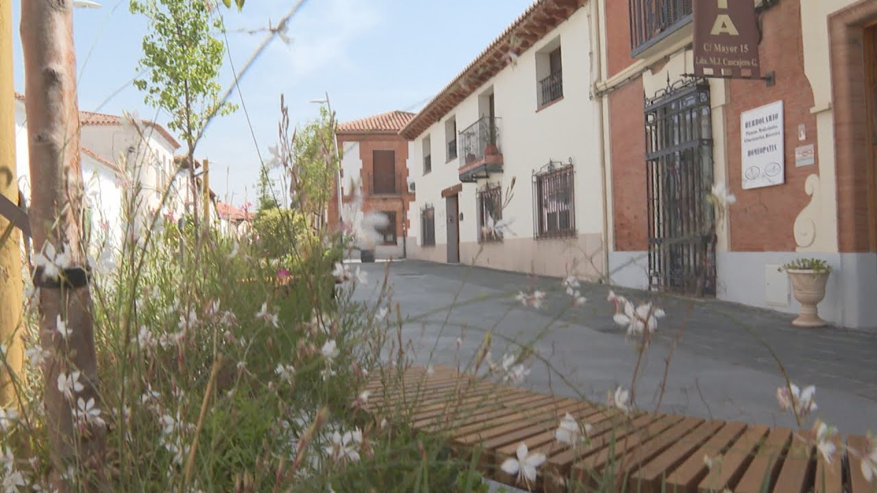 Meco, el lugar ideal para una segunda residencia cerca de Madrid según la IA