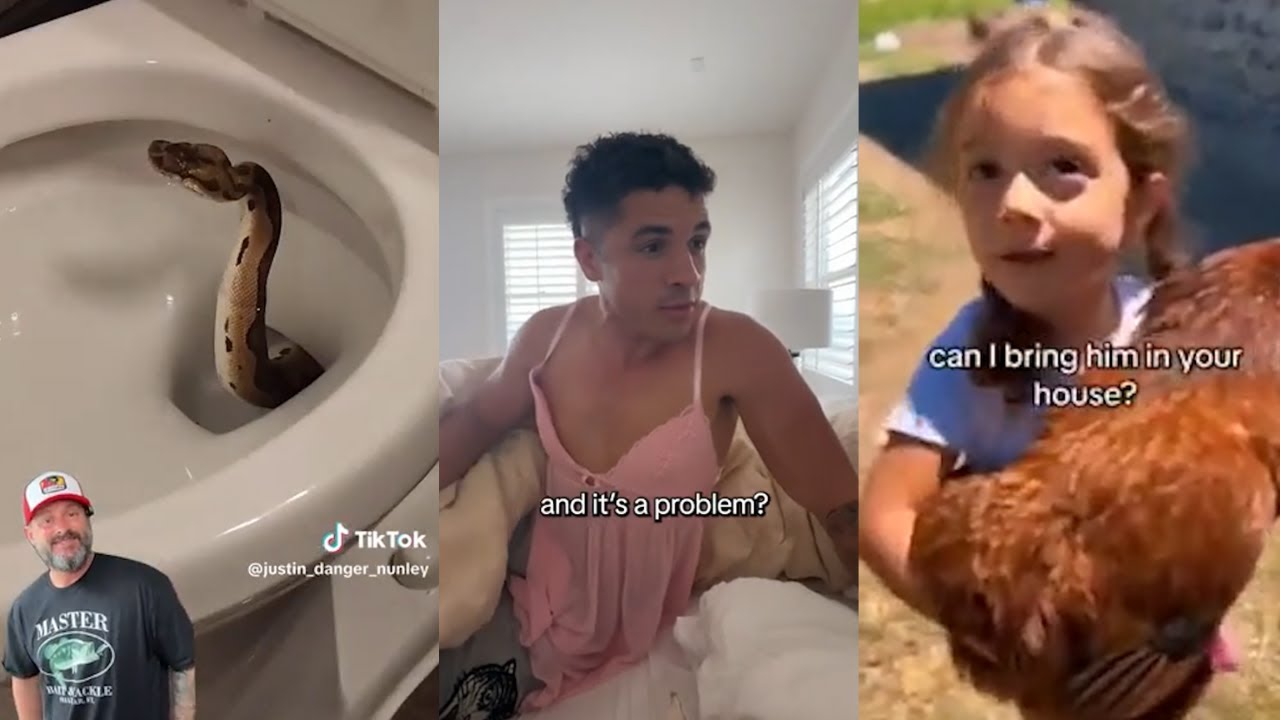 Videos I found on Reddit - r/unexpected - Complication #7