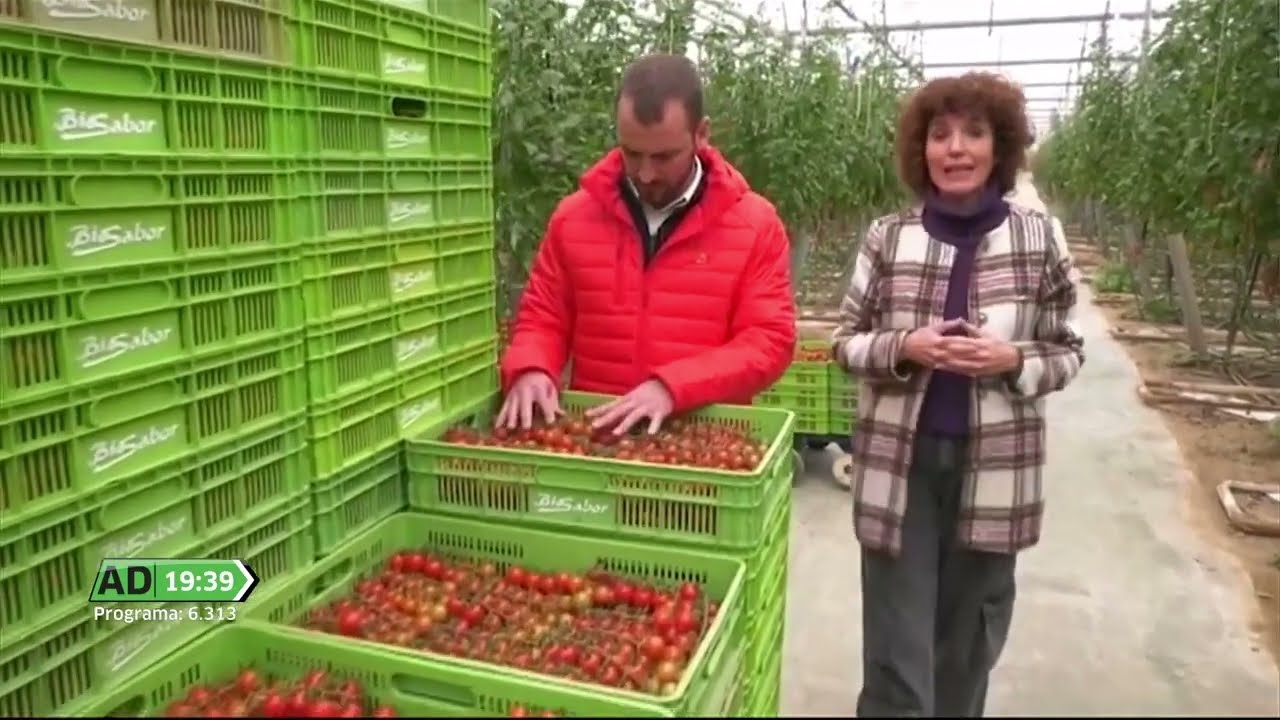 Costes de producción del Tomate ecológico