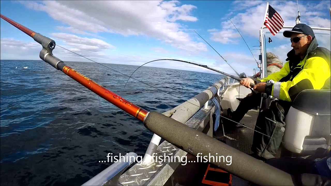 Norge 2018 fishing Nordkapphavfiske
