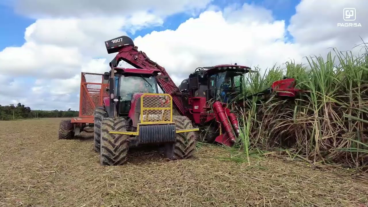 SETOR AGRÍCOLA - USINA PAGRISA