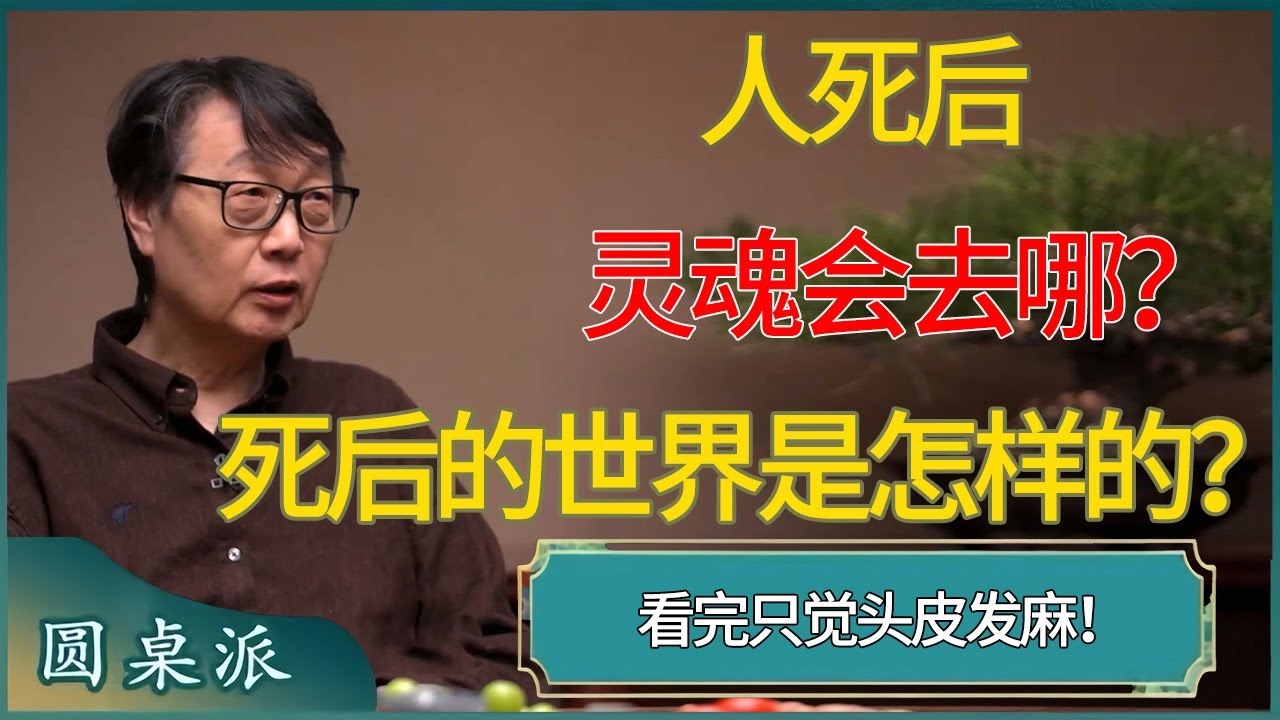 宇宙轮回的真相！人死后灵魂会去哪？死后的世界是怎样的？看完只觉头皮发麻！ #窦文涛 #梁文道 #马未都 #周轶君 #马家辉 #许子东 #圆桌派  #圆桌派第八季