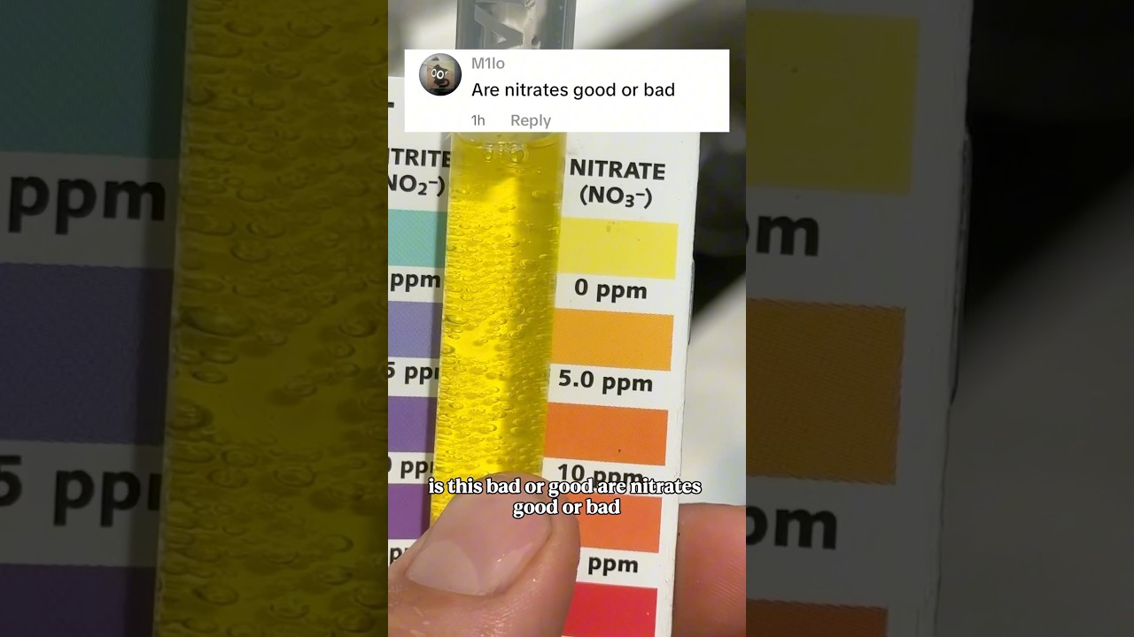 Are nitrates good or bad?