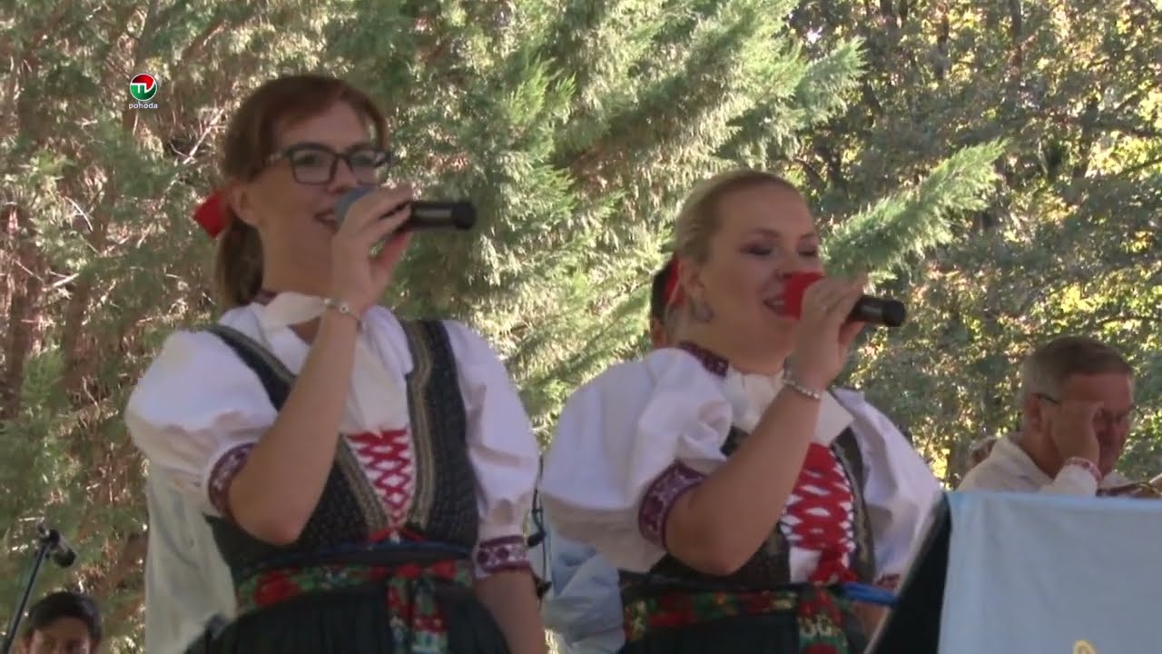 LETO S HUDBOU BŘEZOVJANÉ