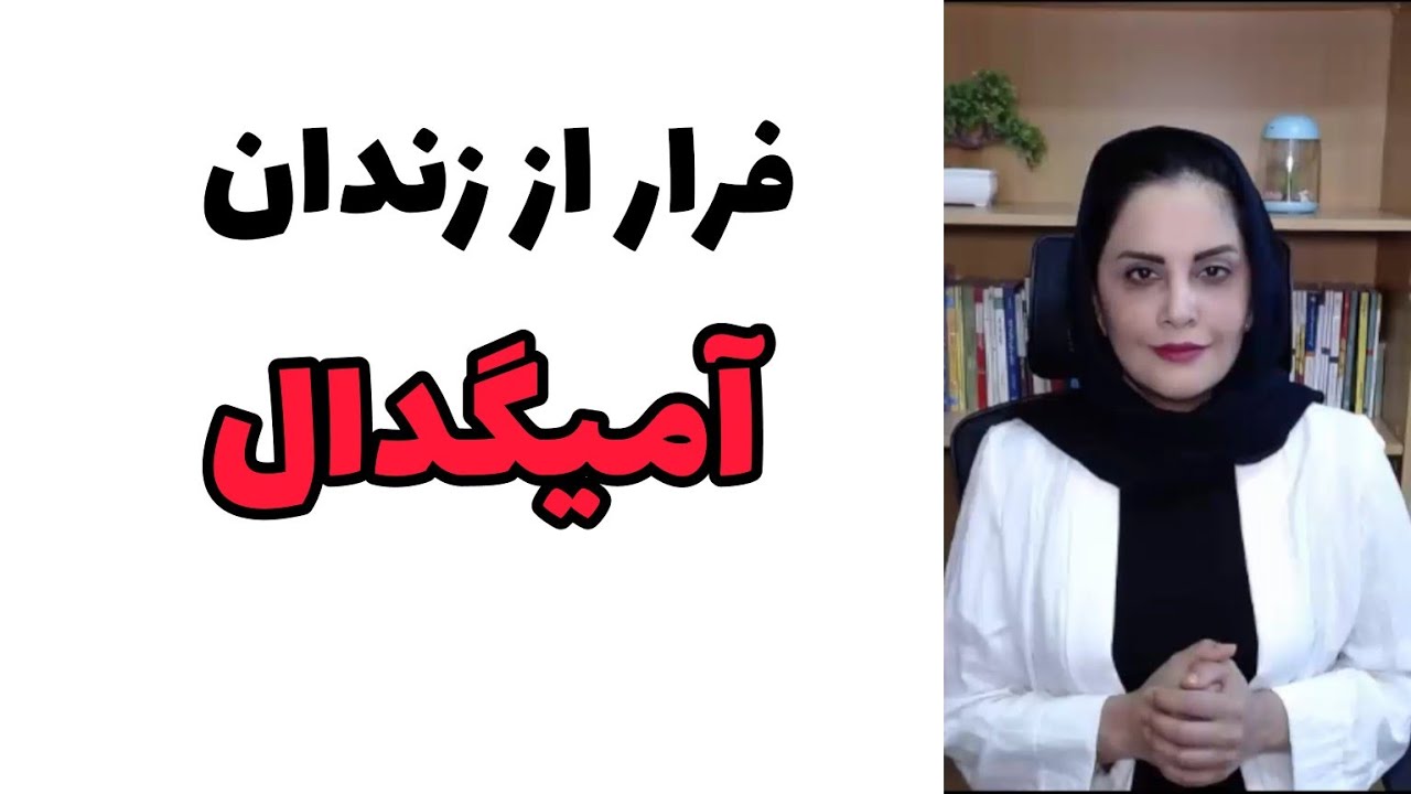 فرار از زندان آمیگدال/دوره رفع خجولی/جلسه ۵