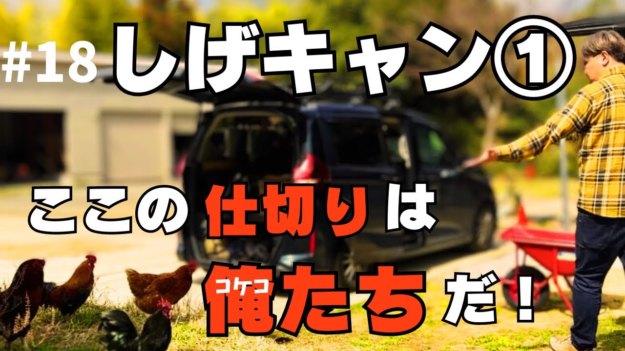 [しげキャン①]千葉の大多喜でニワトリと猫と初めてのウッドデッキキャンプ