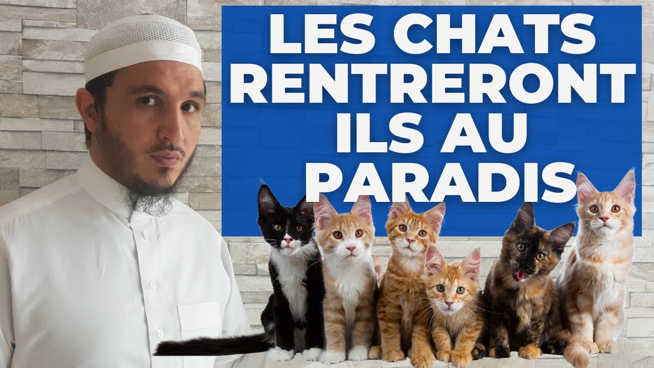 LES CHATS RENTRERONT ILS AU PARADIS ?