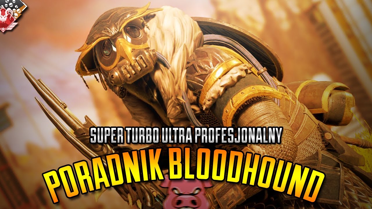 Bloodhound - Poradnik jak grać!