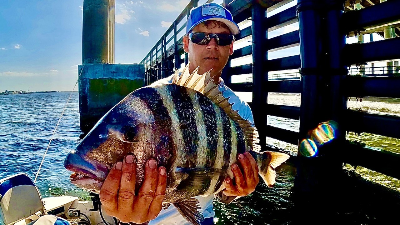 LEFT THEM BITING - Bridge Sheepshead Fishing