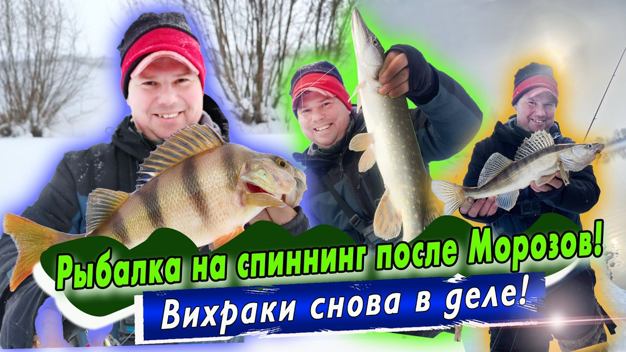 Ловля после морозов/Оснастка Free Rig и Jara baits Vikhcraw/Поймал всю троицу (окунь, щука, судак)