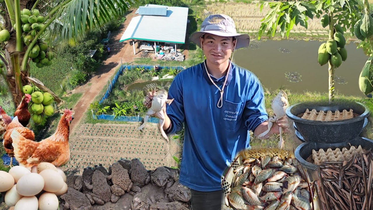 เกษตรยุคใหม่ใจเกินร้อย ทำเกษตรแบบงบน้อยแต่กำไร 100% ทำน้อยเเต่ได้มาก !!