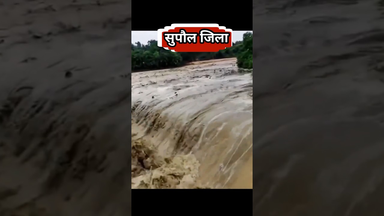 सुपौल में अचानक आया बाढ़ का तूफान?#supaul #saharsa #araria #flood #news #bihar_flood #kosi_nadi