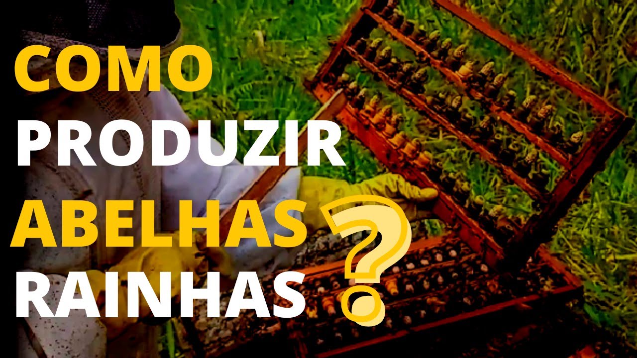 Como produzir abelhas rainhas passo a passo/como fazer a recria  e rainhas  p/ alta produção de mel.