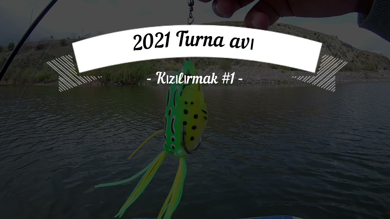 Turna Avı Nisan 2021 / Pike Hunting / Kaçırdım... / Kurbağa İle Avlanma / Topwater Frog Hunting