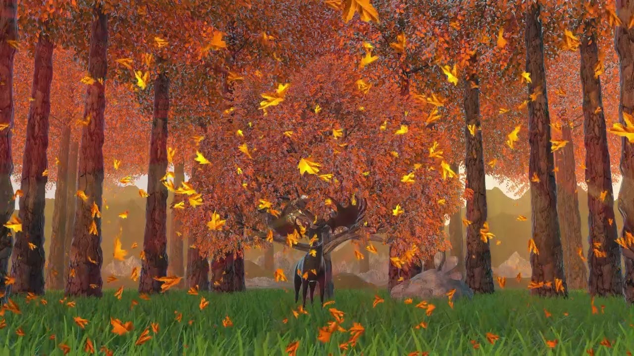 Vid&eacute;o Background The Show Chocolat 2024  #cinema4drender #animation3d  #maxonc4d  #arnoldrenderer