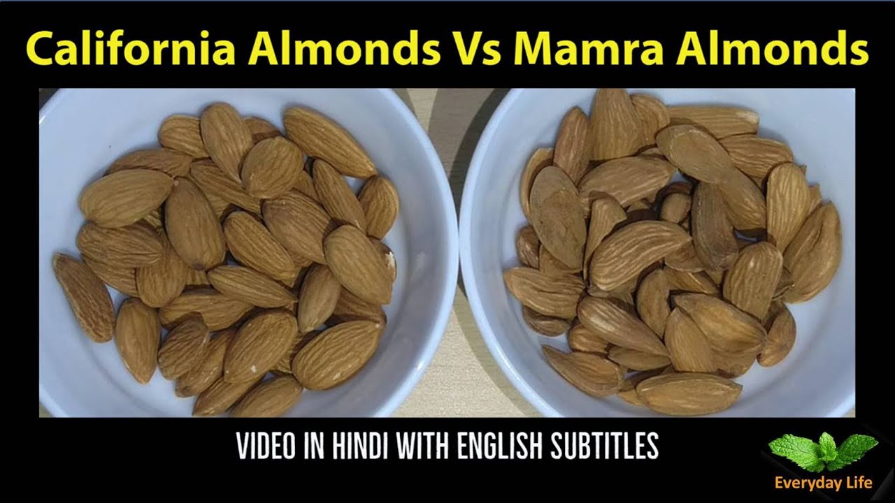 California Almonds Vs Mamra Almonds | कैलिफोर्निया बादाम और मामरा बादाम  में अंतर |Everyday Life#196
