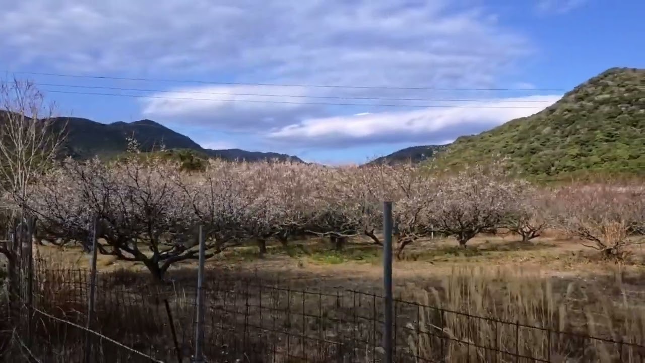 南紀番外編6