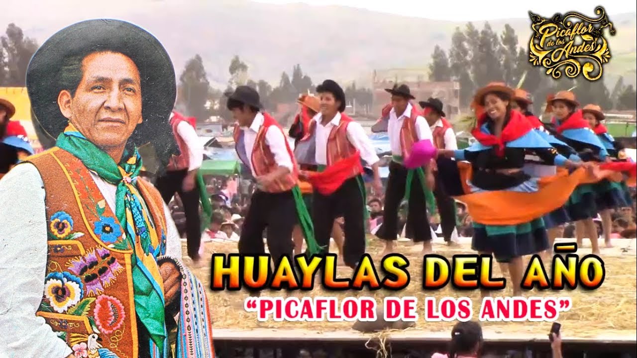 Picaflor de los Andes - HUAYLAS DEL AÑO
