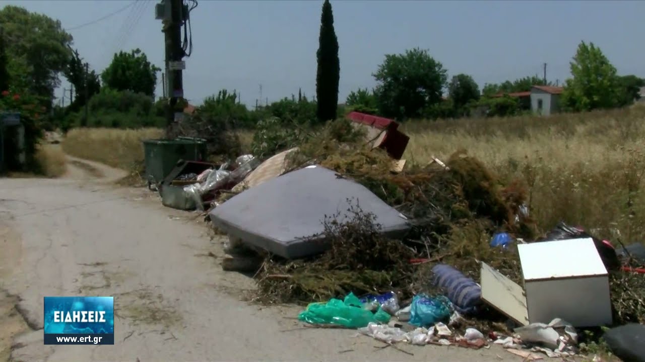 Σε σκουπιδότοπο μετατράπηκε η παραλία της Ν. Καλλικράτειας | 23/06/2021 | ΕΡΤ