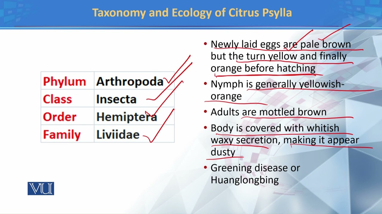 Taxonomy and ecology of Citrus Psylla | Principles of Systematics | ZOO511T_Topic174