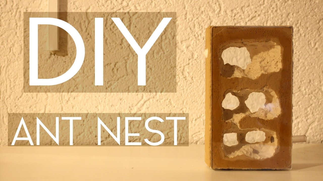 DIY - Tower Nest -  Giant Caves for Your Ants! (feat. Messor Colony)