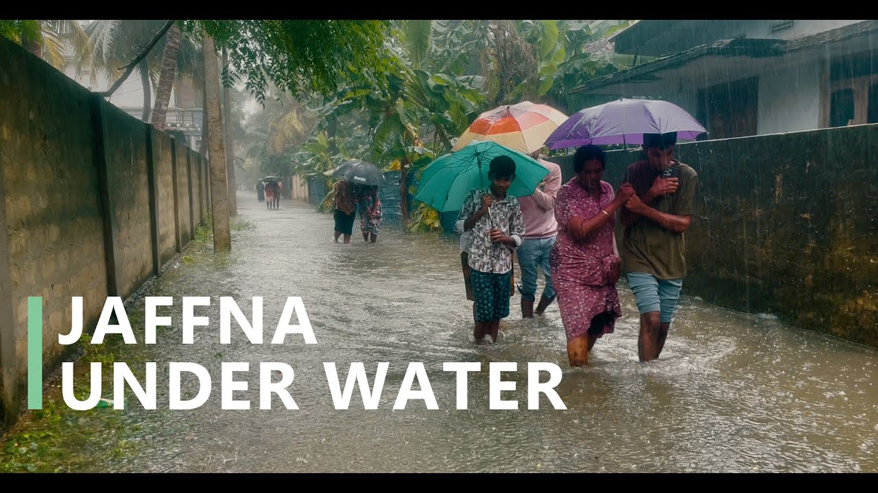 Jaffna Under Water | Flood Scenes from Nallur, Arasady & Panai Road