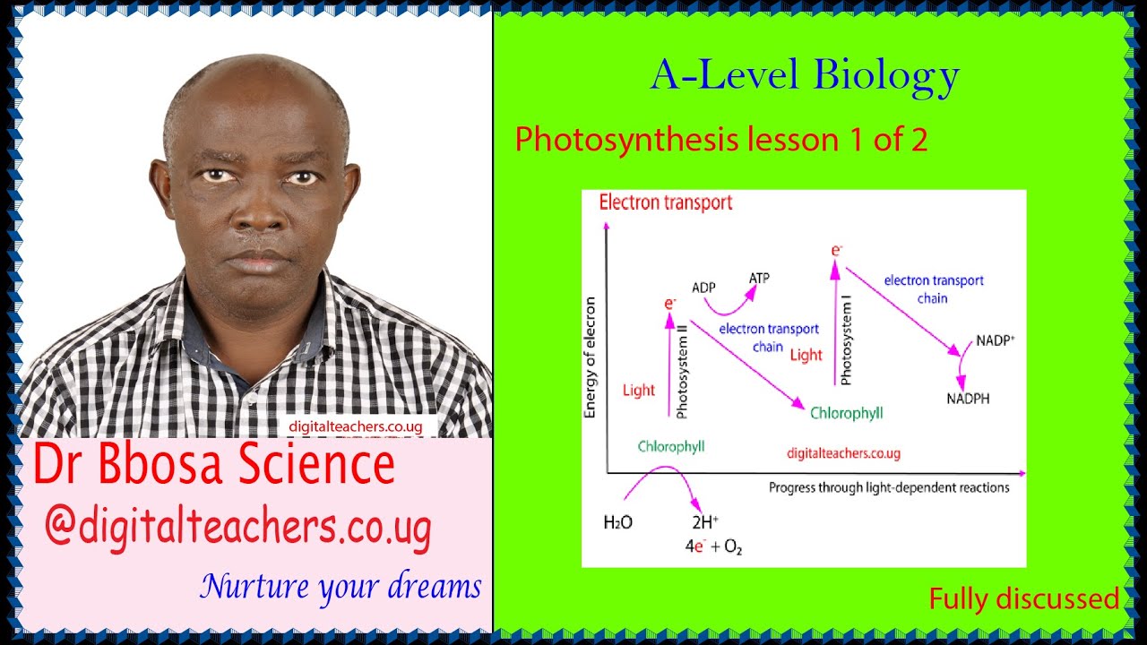 A-level biology lesson 10: Photosynthesis part 1 of 2 By Dr. Bbosa Science