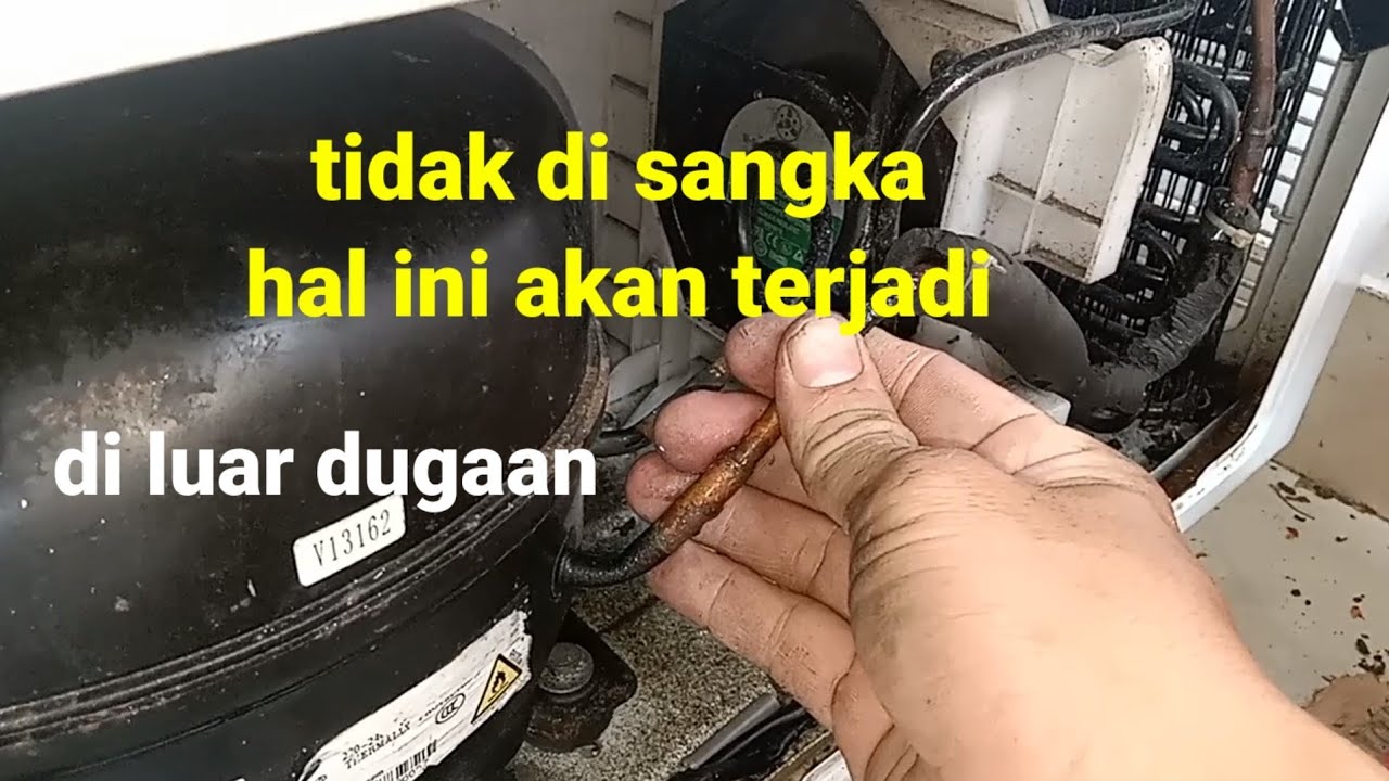 freezer box mati total tidak di sangka di luar dugaan