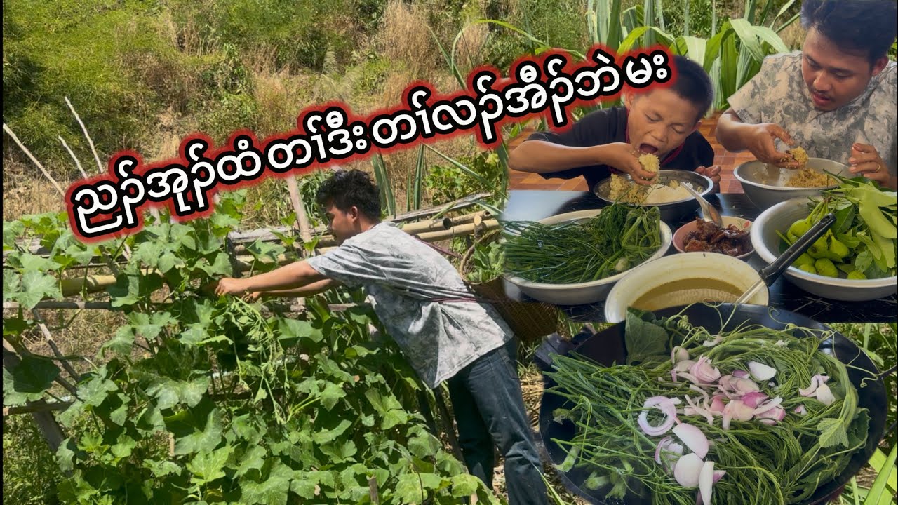 Village Lifestyle ( Let’s Enjoy And Eat Karen Foods With Us )