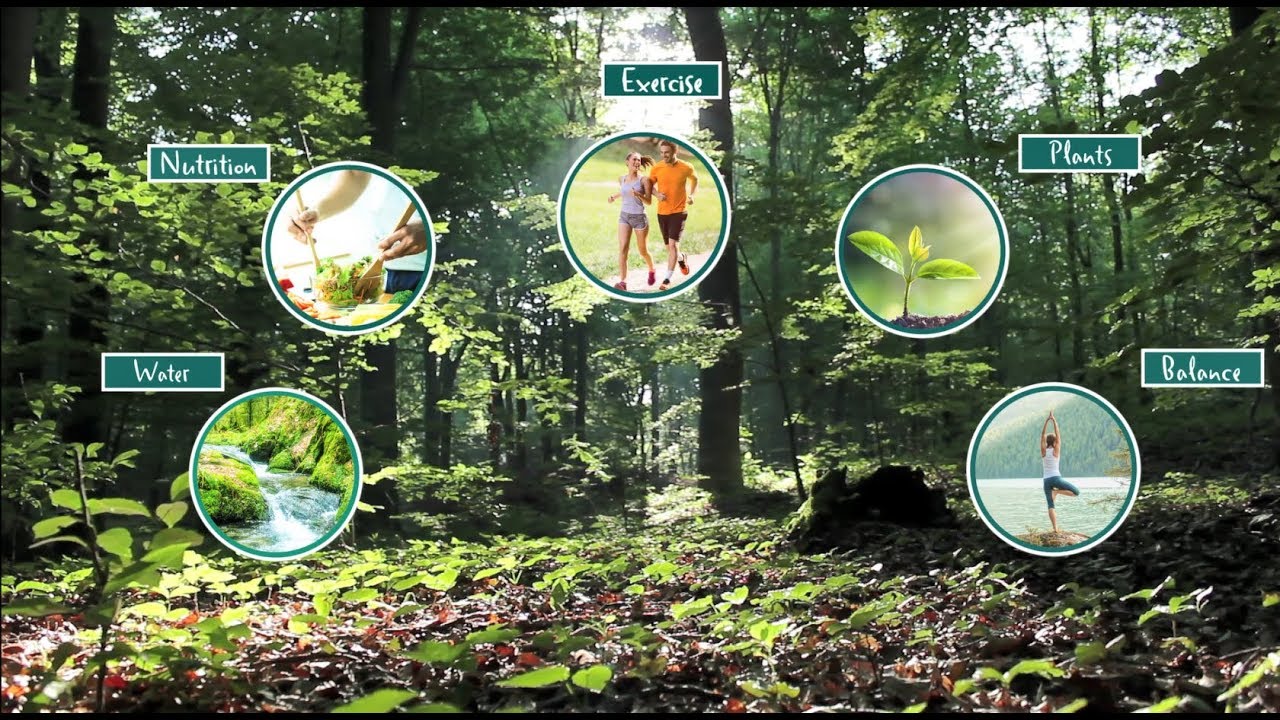 Kneipp&reg; CSR Day 2018: Come on board to enjoy the Kneipp experience