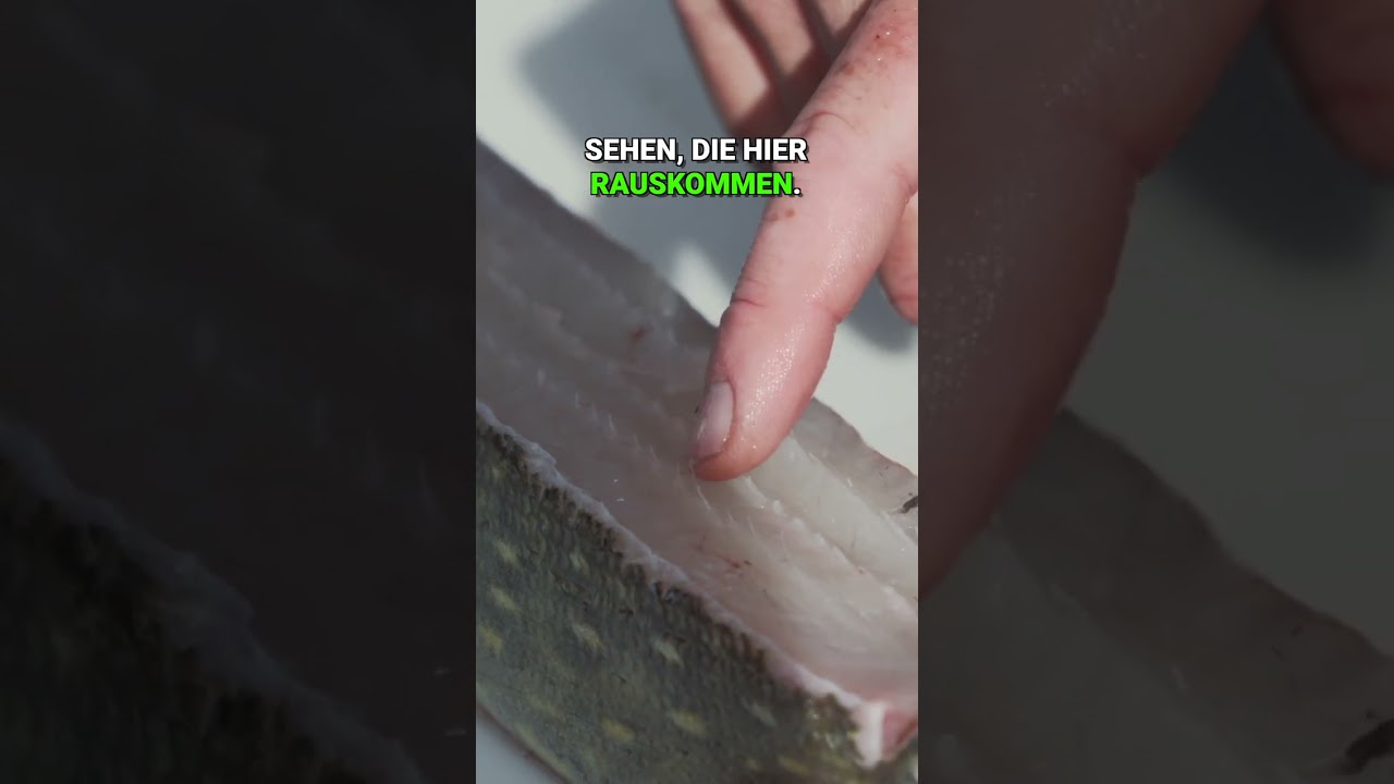 Hecht filetieren und gr&auml;tenfreie Filets erhalten 🐟