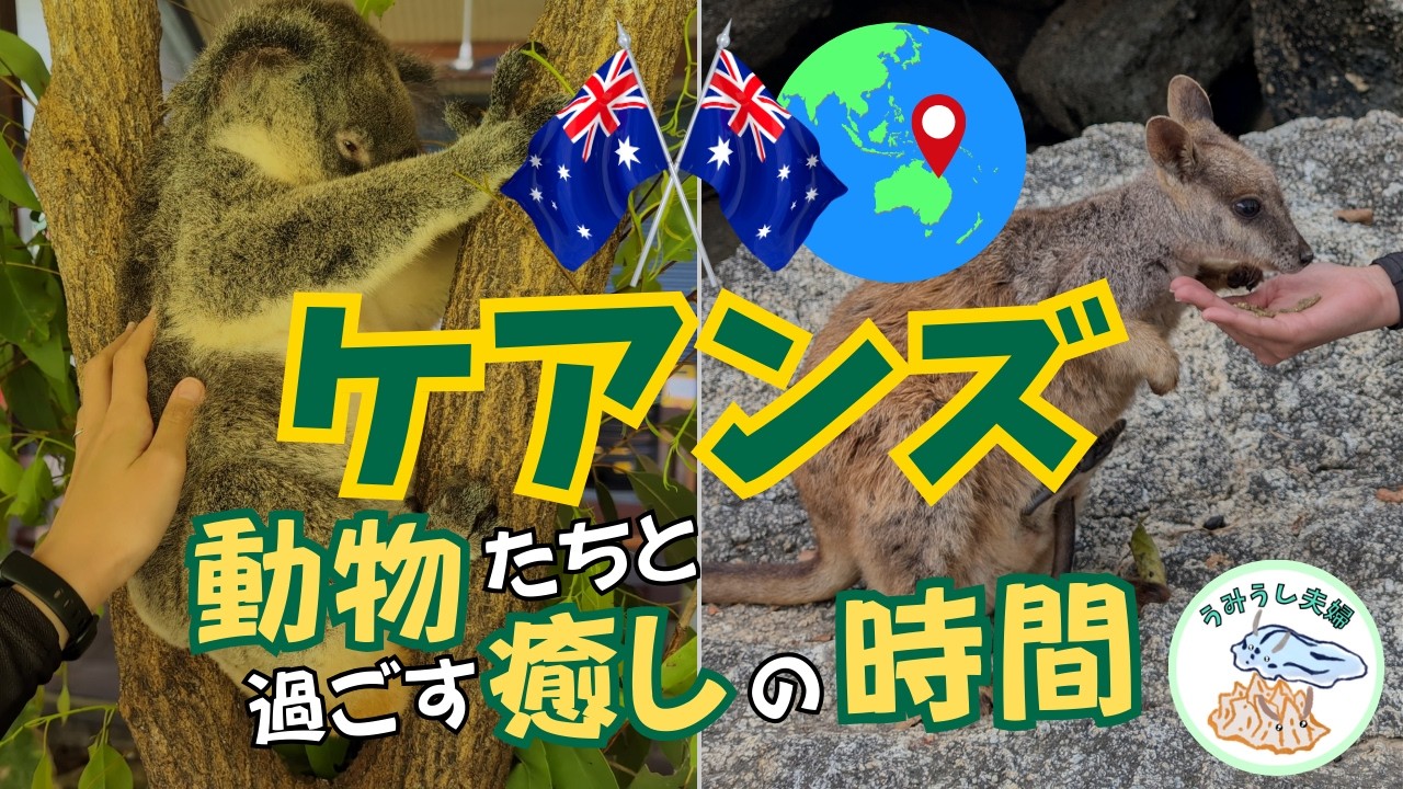 【ケアンズ旅行記】コアラ抱っこ＆野生カンガルーに感動！オーストラリアで動物尽くしの5日間