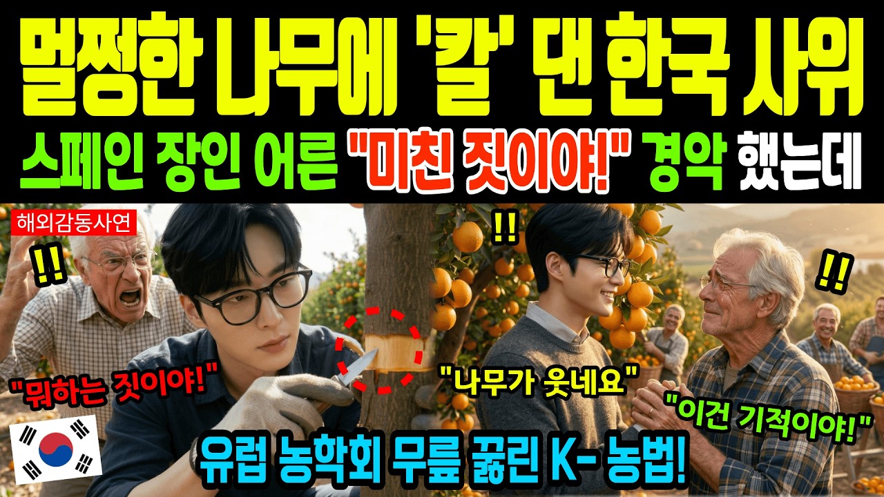 [해외감동사연] 