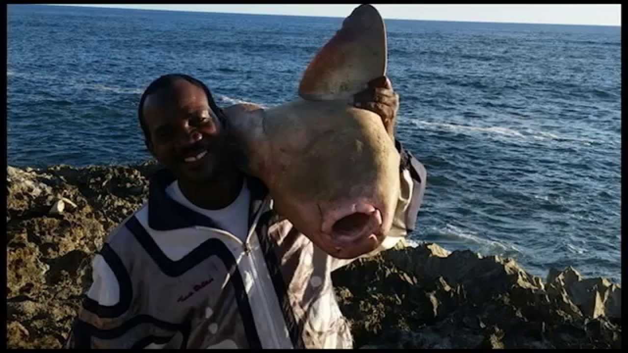 Bajan Fish Prickers Episode 1