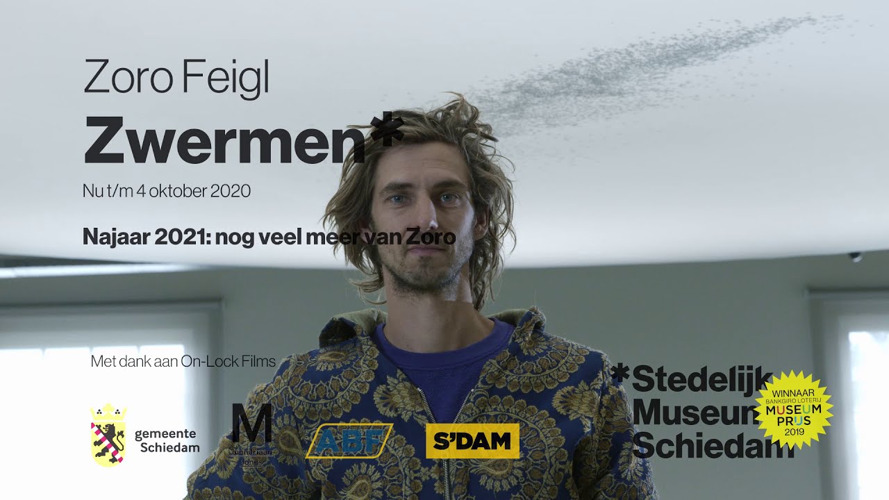 Zoro Feigl met Zwermen - Stedelijk Museum Schiedam