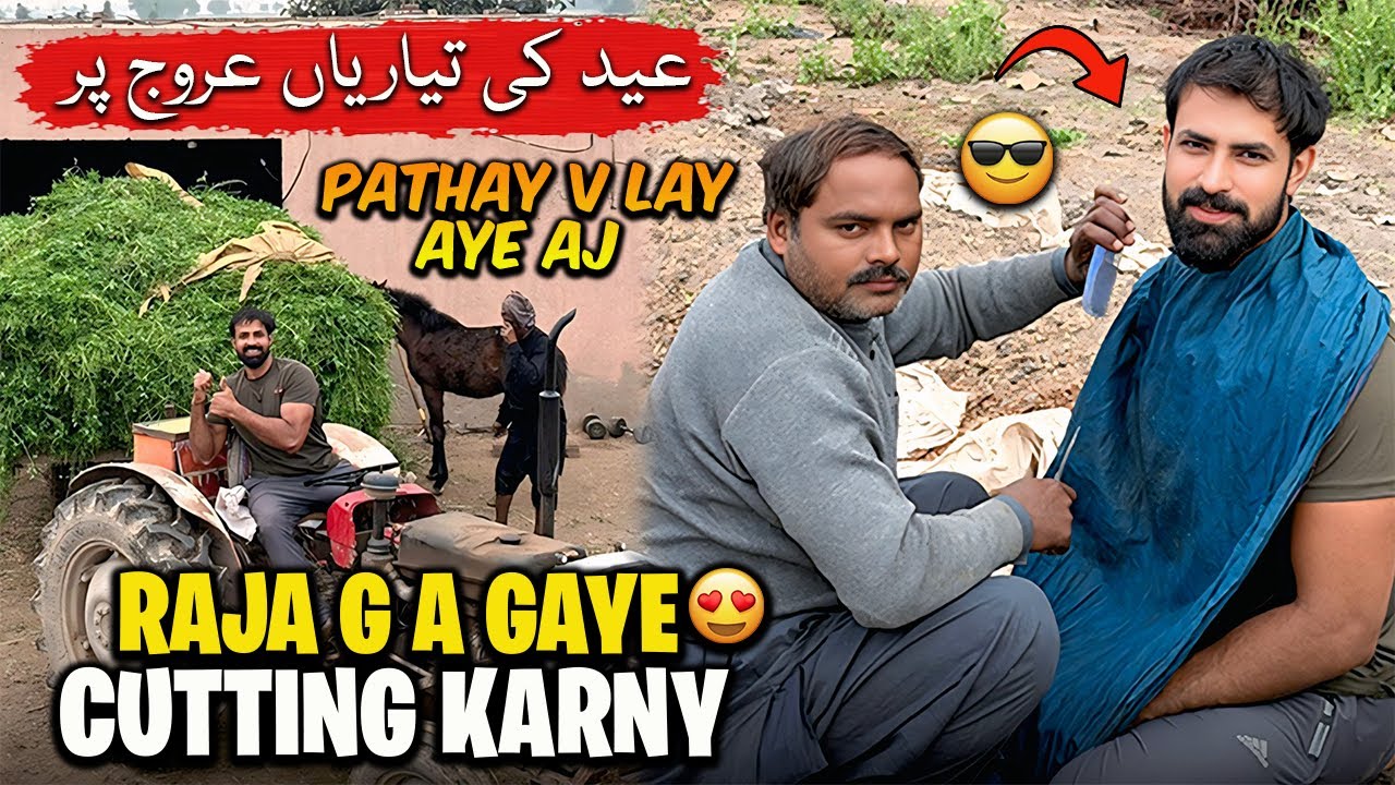 Raja a Gaya Cutting Karny 🔥😍 Subha Eid Ya Ni ?? | عید کی تیاریاں عروج پر ہر بندہ کام میں مصروف