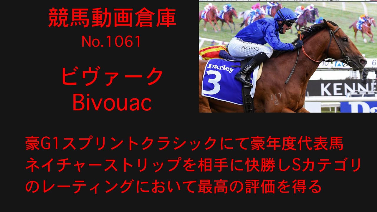 【競馬】ビヴァーク　Bivouac【No1061】
