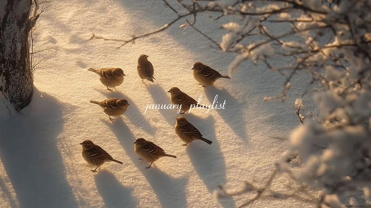 january vibes - a playlist to start the new year slowly