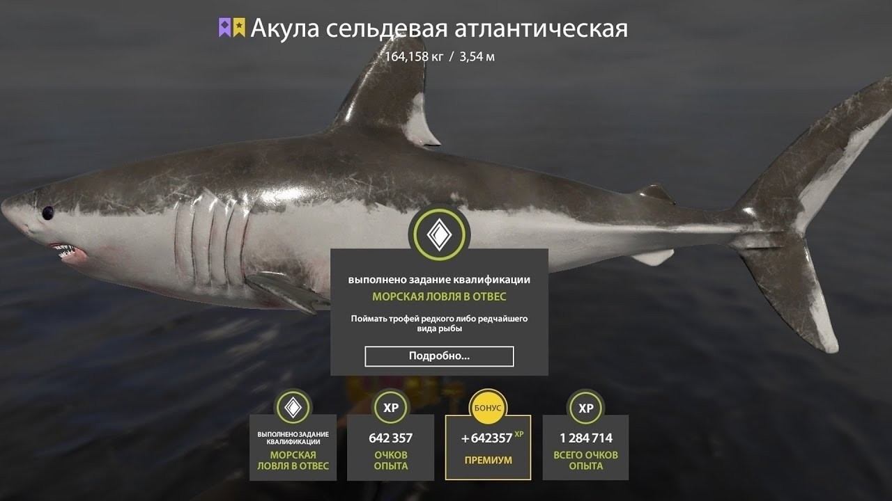 📢СТРИМ РР4🔥 УТРЕННЯЯ РЫБАЛОЧКА НА НОРВЕЖСКОМ МОРЕ🔥РУССКАЯ РЫБАЛКА 4