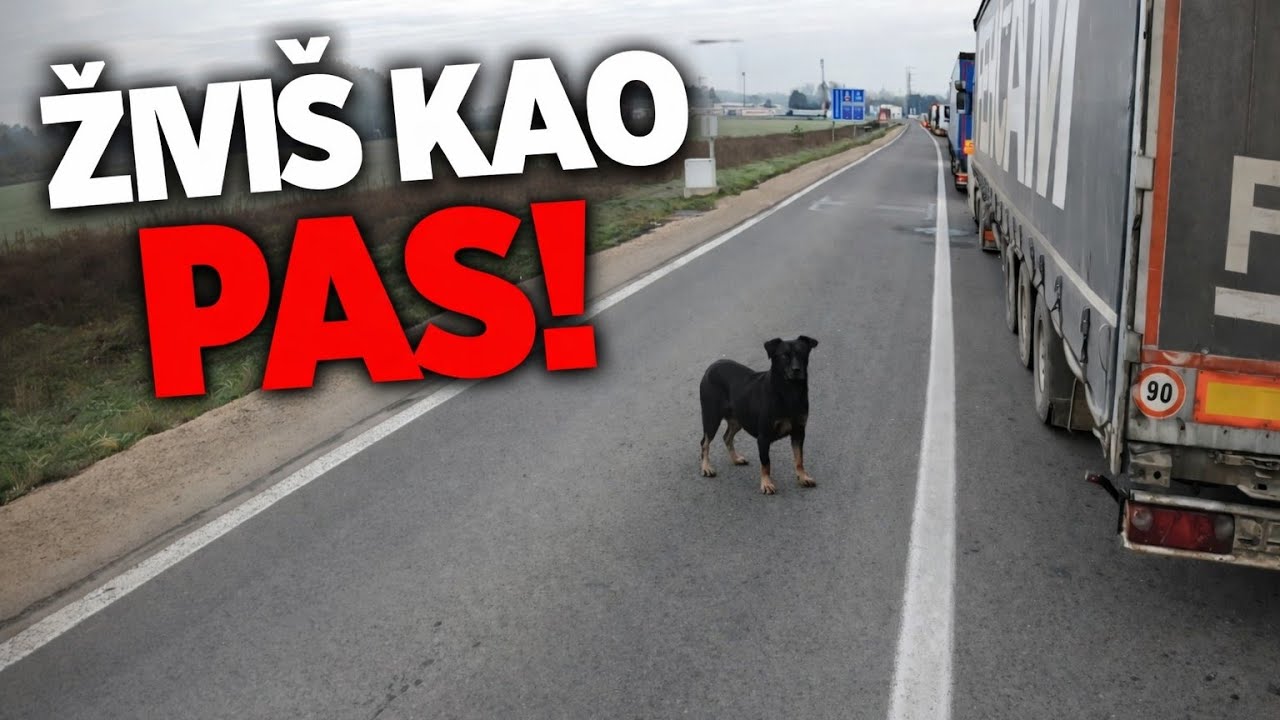ZIVOT NA GRANICI - DA LI ODUSTATI?  1.deo