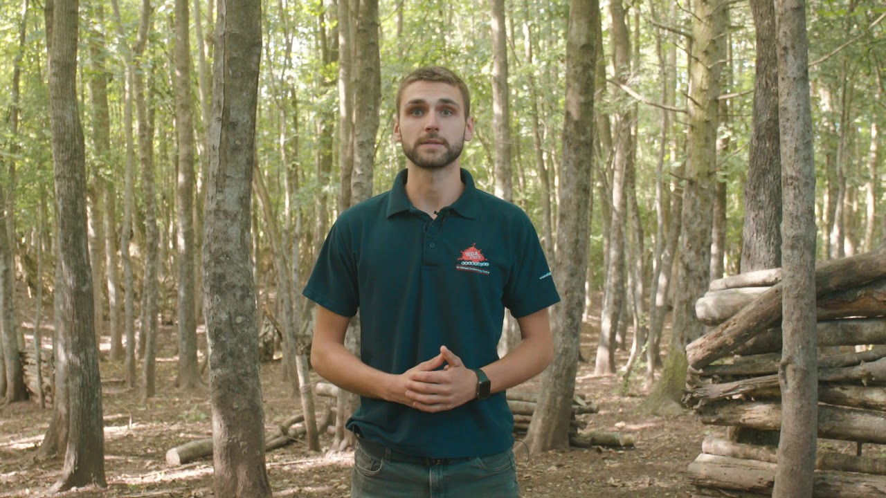 Woodland laser safety brief **Some flashing lights in this video** - Wild Park
