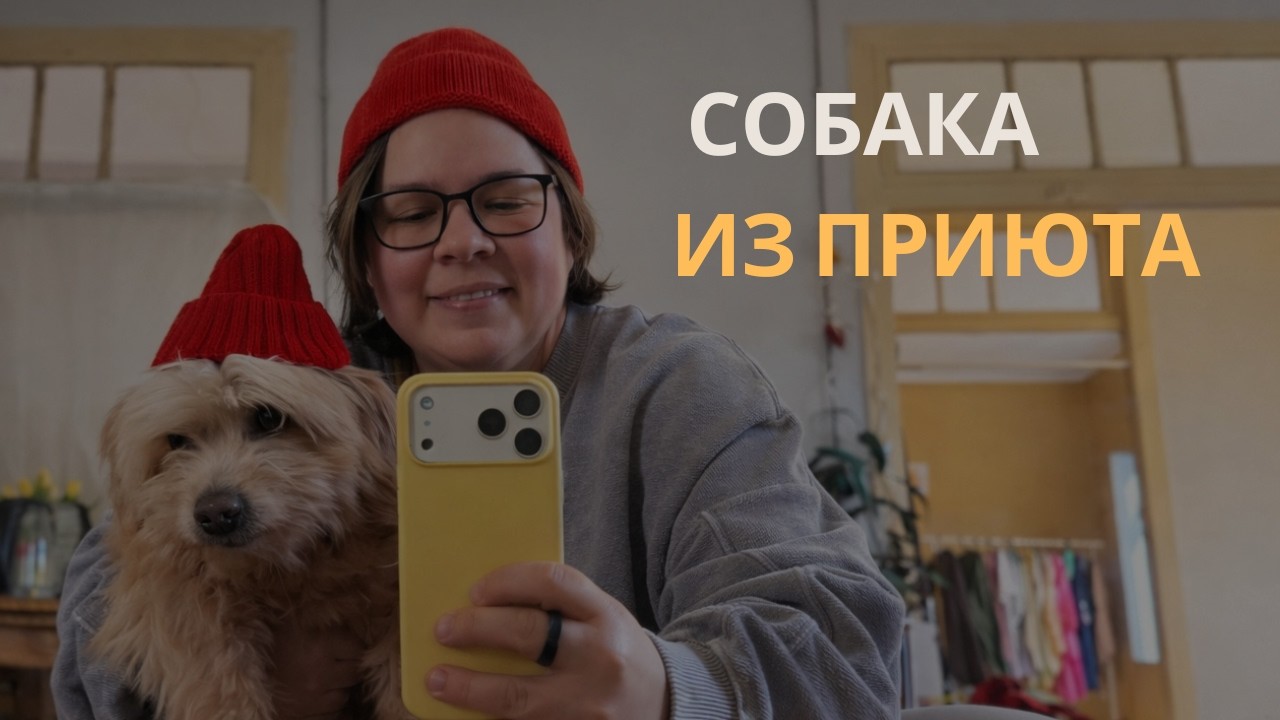 Взяла взрослую собаку из приюта и продолжаю ремонтировать дом в Португалии