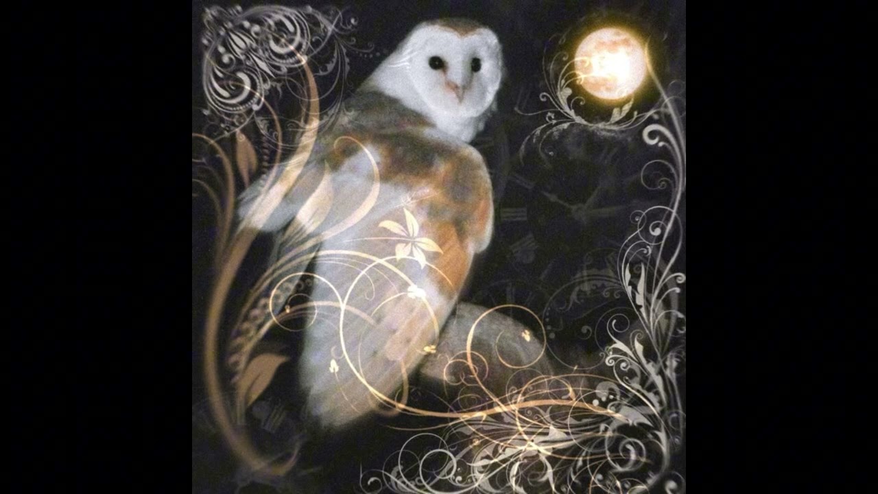 this is not for u, this is for me