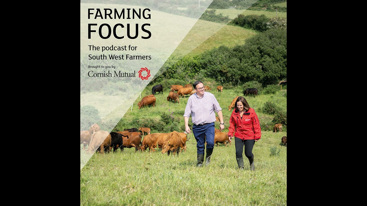 The Farm Profitability Review unwrapped: What farmers need to know.