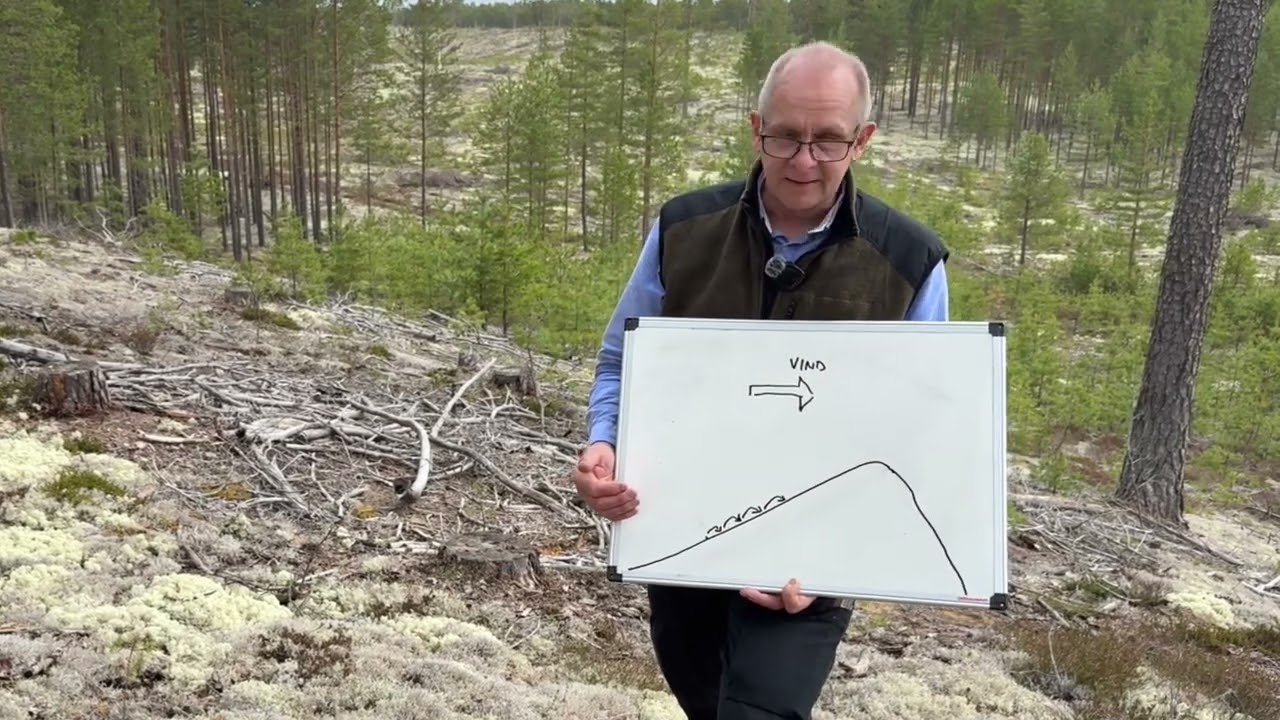 Sanddyner. Sanddynomr&aring;det Bon&auml;sf&auml;ltet norr om Mora. Geologen Mange magister tar sig an sanddyner!