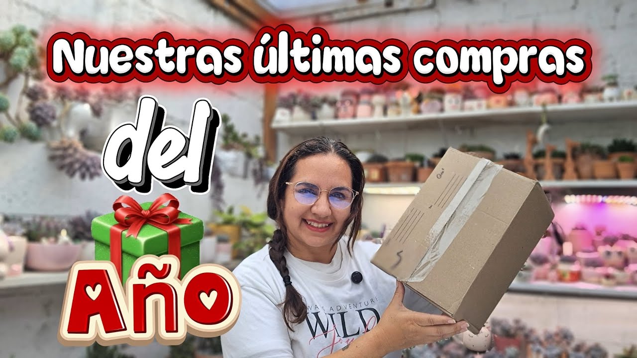 Nuevas suculentas / unboxing de suculentas 