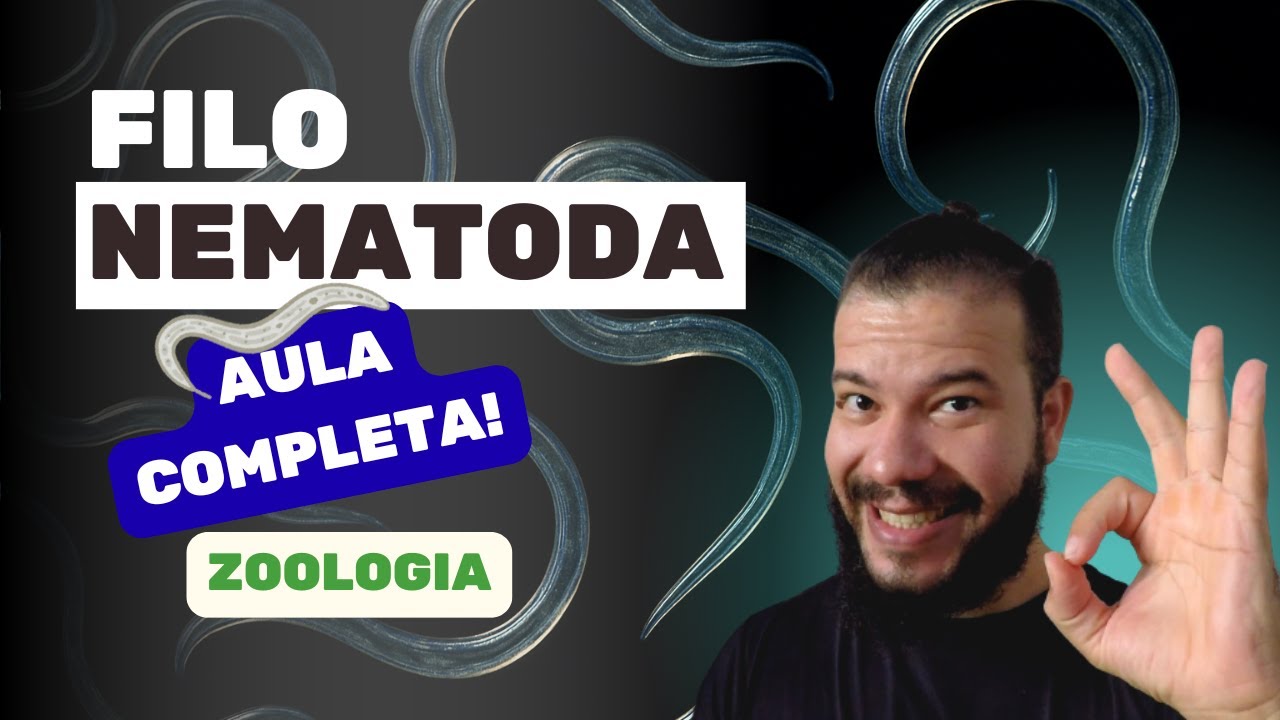 Filo Nematoda - Zoologia | Aula Completa sobre Nemat&oacute;deos