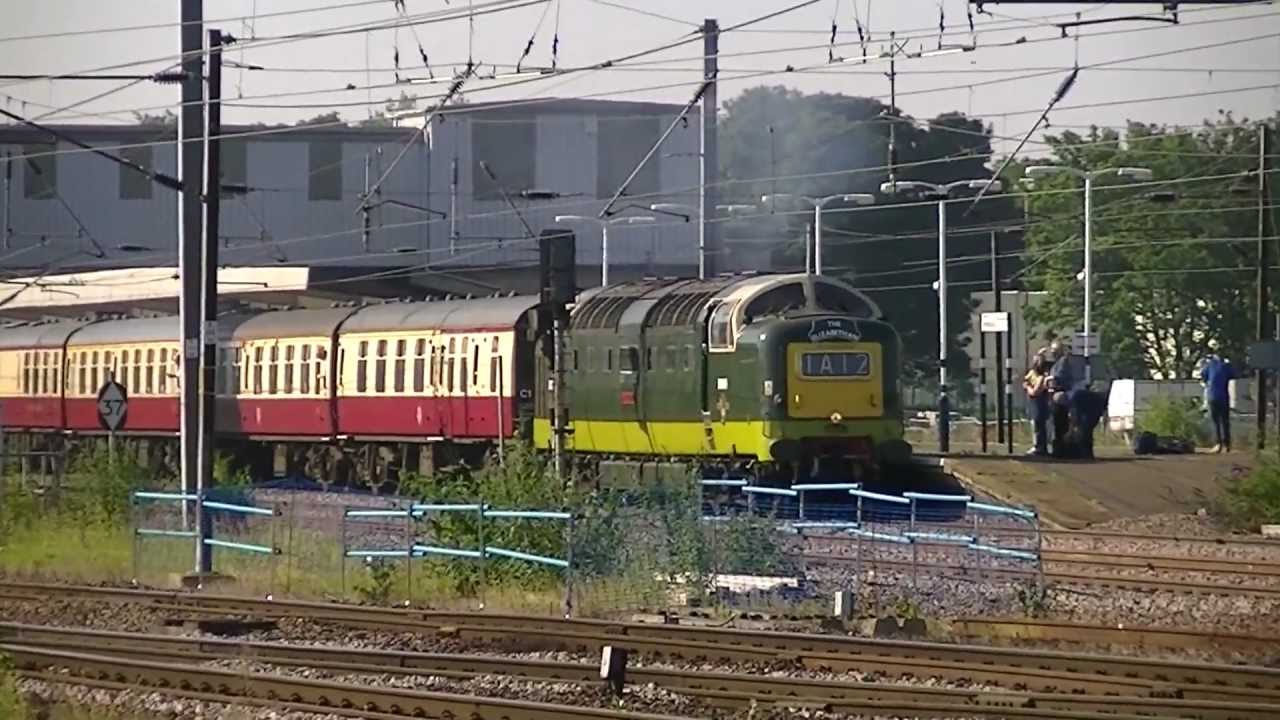 D900955009 'Alycidon' Mainline Return HD