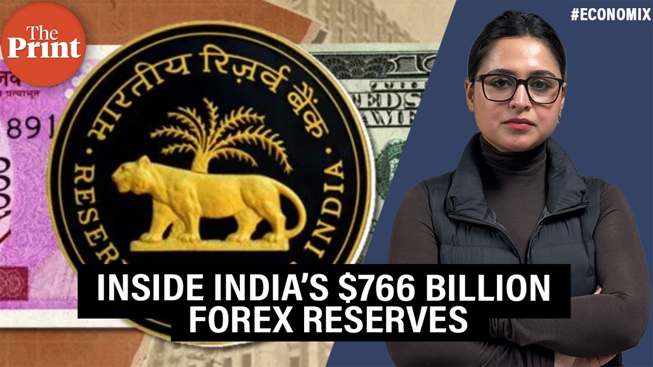 Same X-ray, different skeleton: Inside India&rsquo;s $766 billion forex reserves