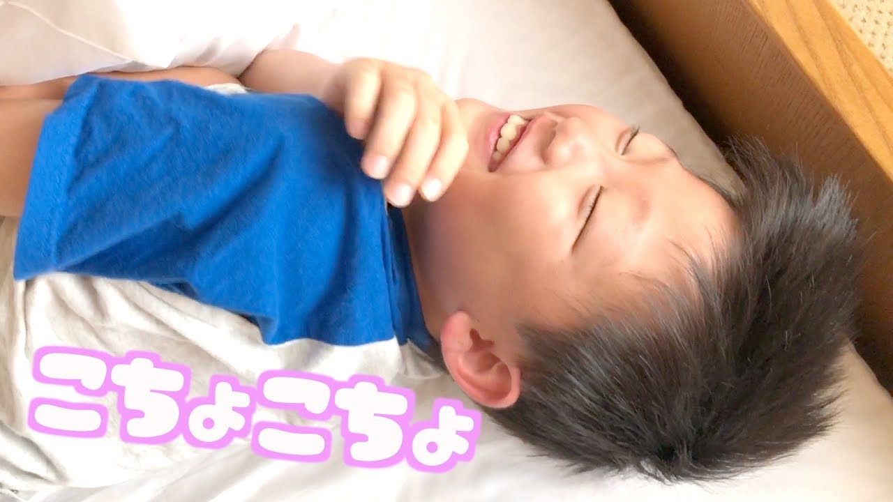 なかなか起きないナナここをこちょばして起こしてみた😆【ココロマン普段の様子】